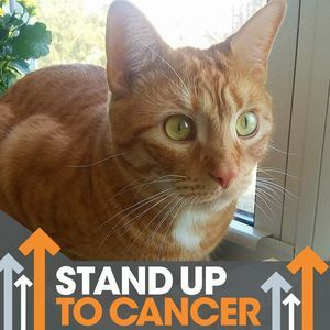 Meet your Posher, Maricela